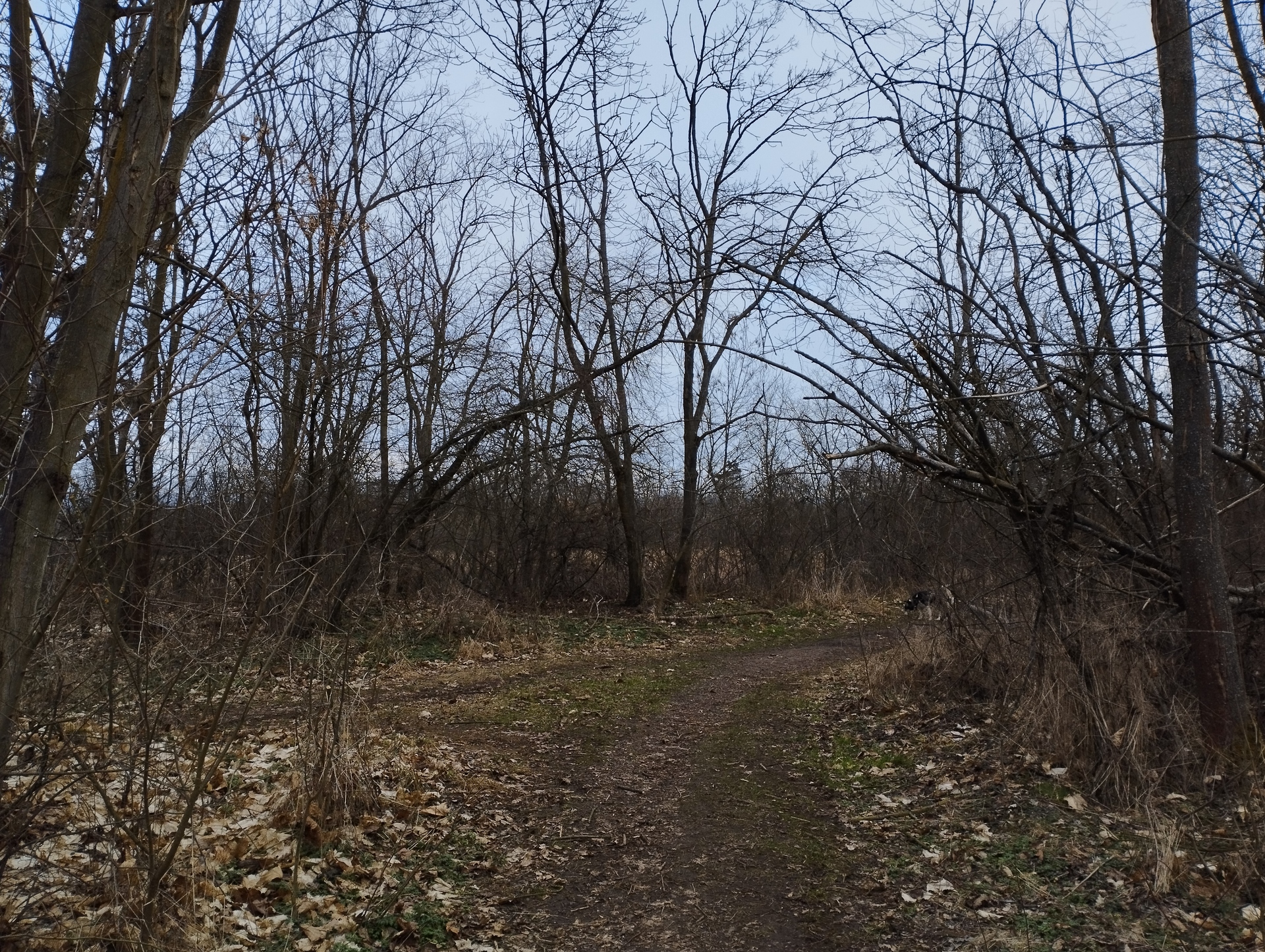 Xiaomi Redmi Note 11