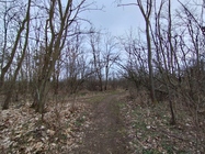 Xiaomi Redmi Note 11