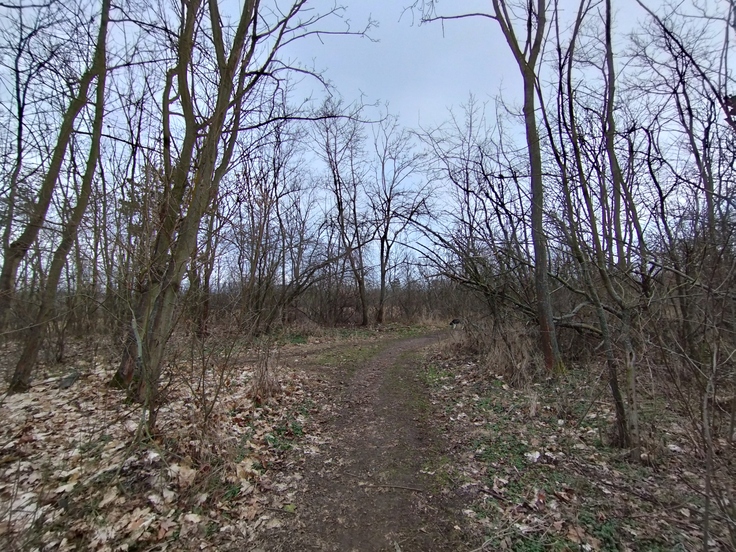 Xiaomi Redmi Note 11