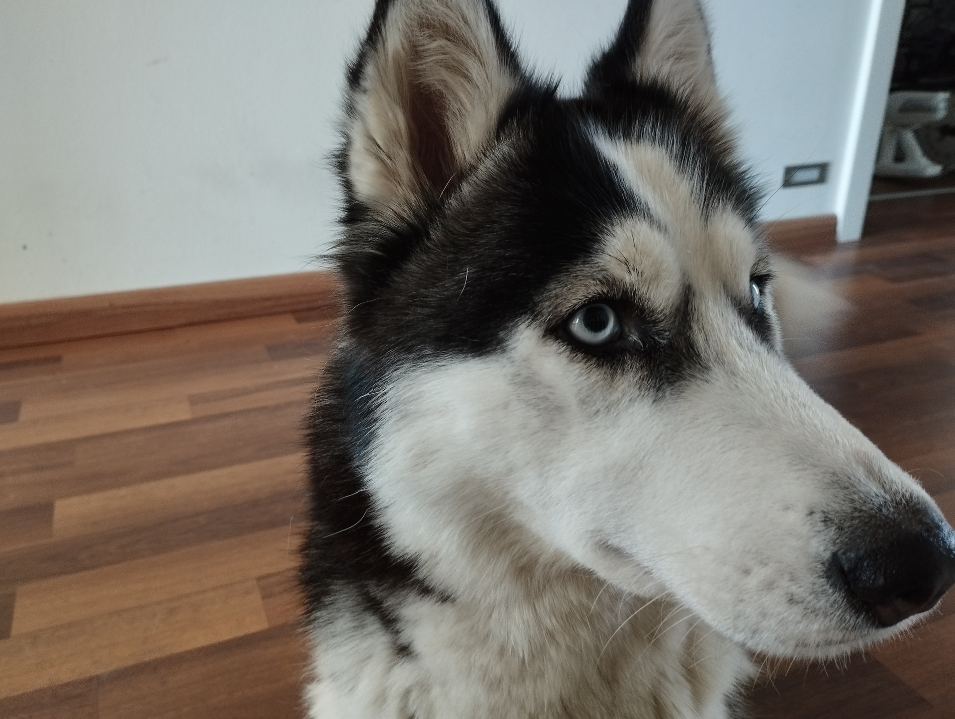 Xiaomi Redmi Note 11