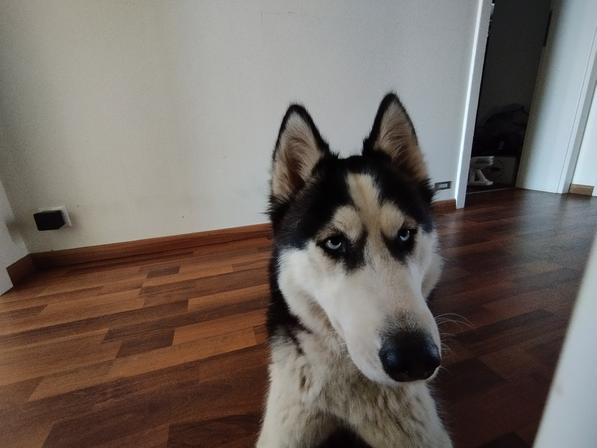 Xiaomi Redmi Note 11