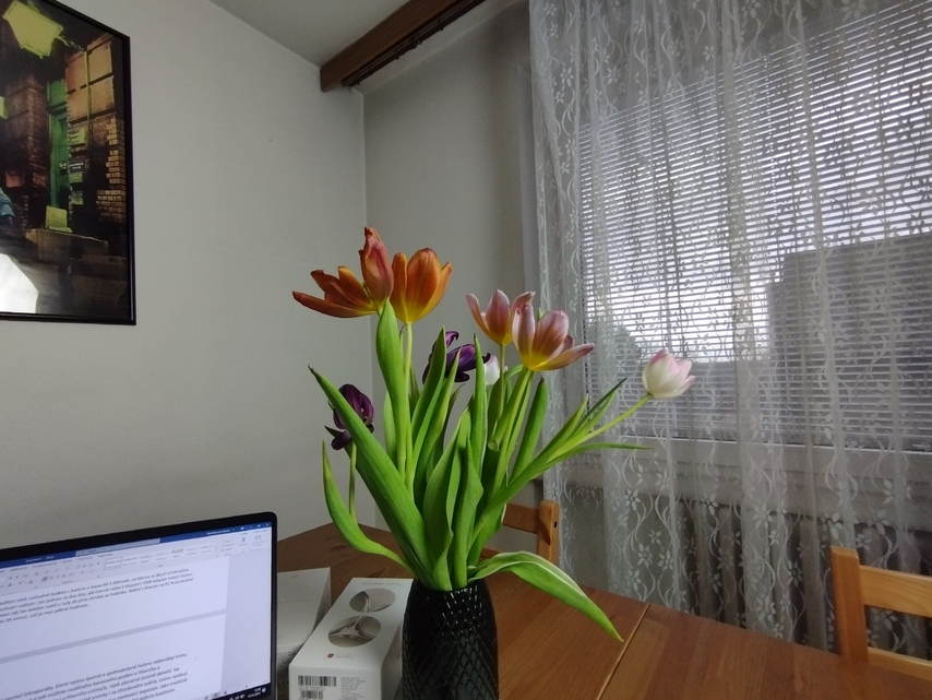 Xiaomi Redmi Note 11