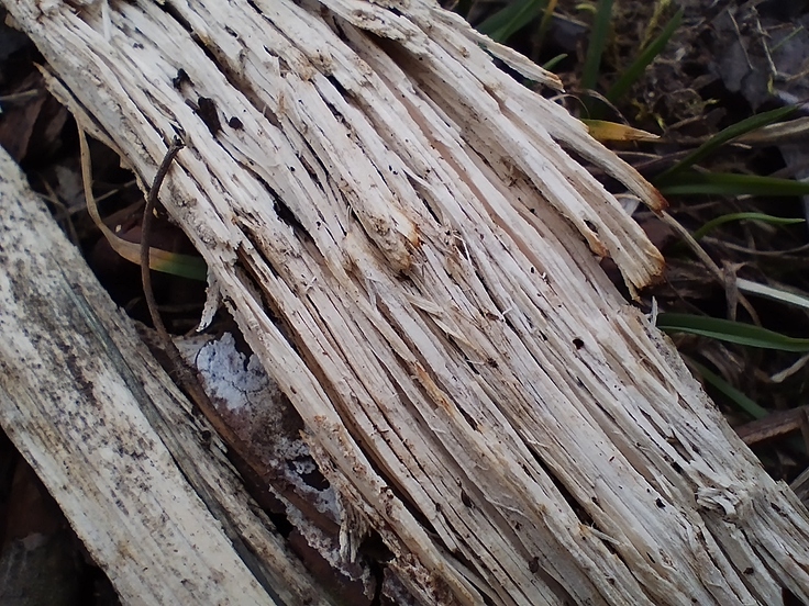 Xiaomi Redmi Note 11