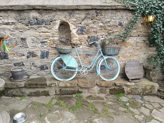 Xiaomi Redmi Note 12 Pro+