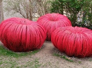 Xiaomi Redmi Note 12 Pro+