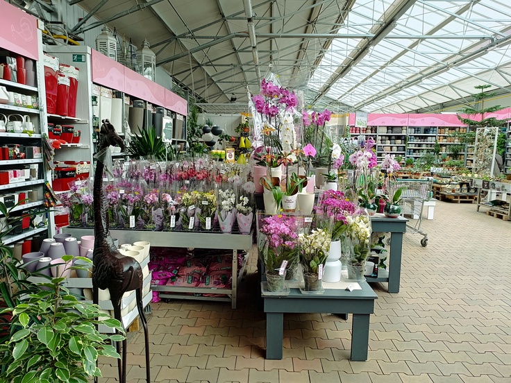 Xiaomi Redmi Note 12 Pro+