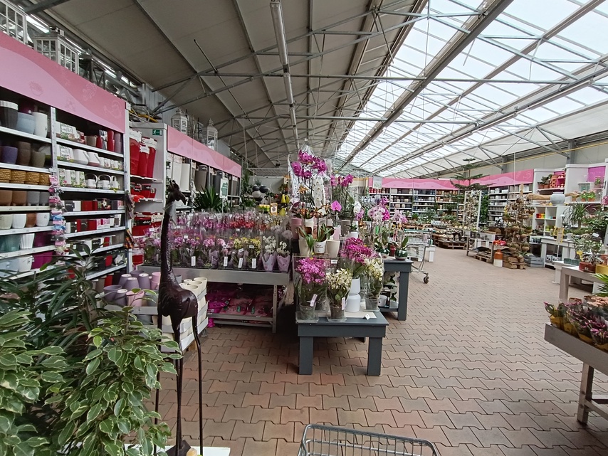 Xiaomi Redmi Note 12 Pro+