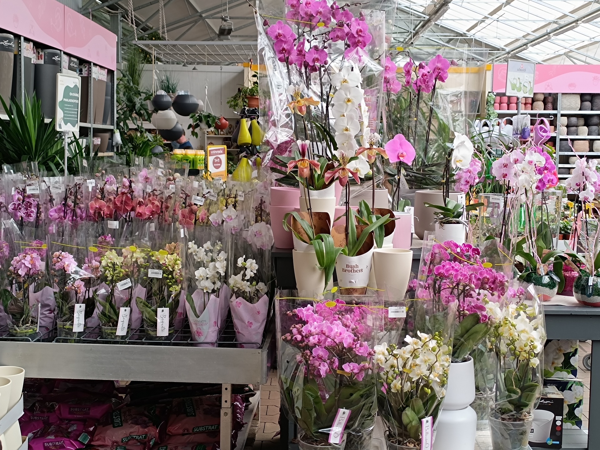 Xiaomi Redmi Note 12 Pro+