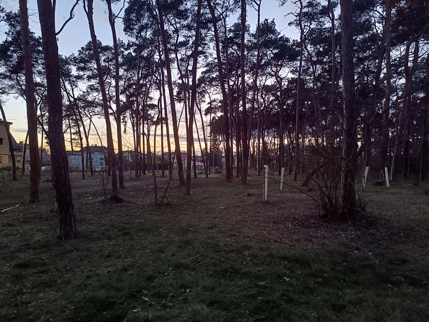 Xiaomi Redmi Note 12 Pro+