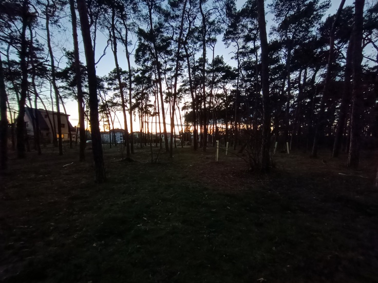 Xiaomi Redmi Note 12 Pro+