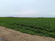 Xiaomi Redmi Note 12 Pro