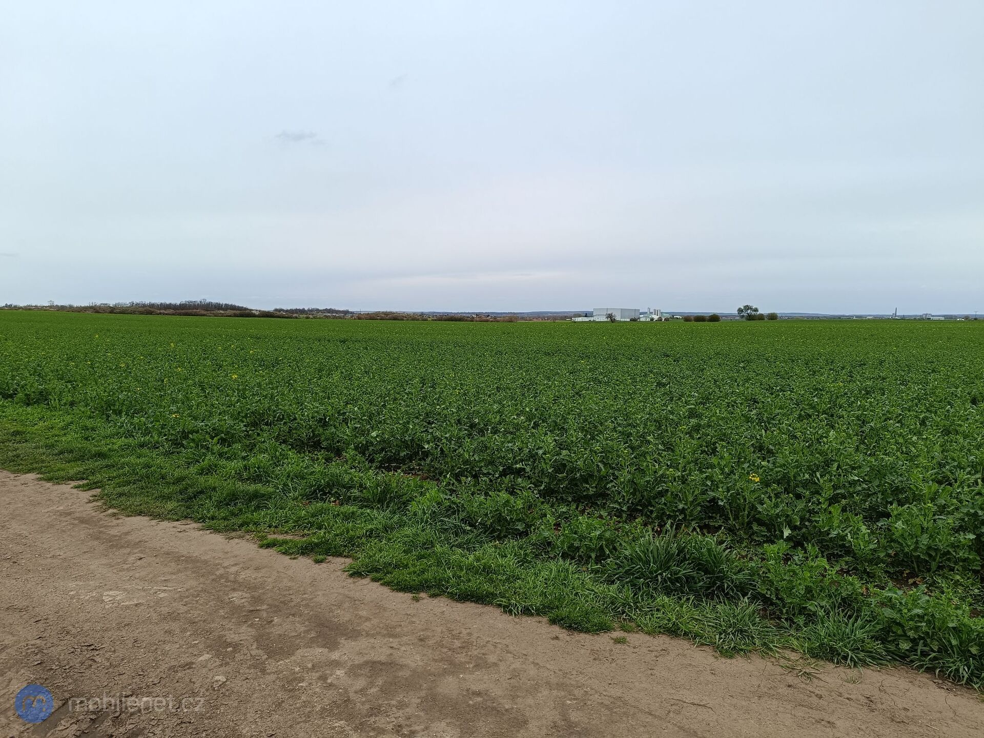 Xiaomi Redmi Note 12 Pro