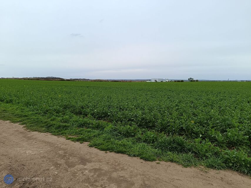 Xiaomi Redmi Note 12 Pro