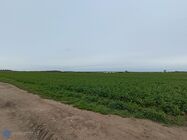 Xiaomi Redmi Note 12 Pro