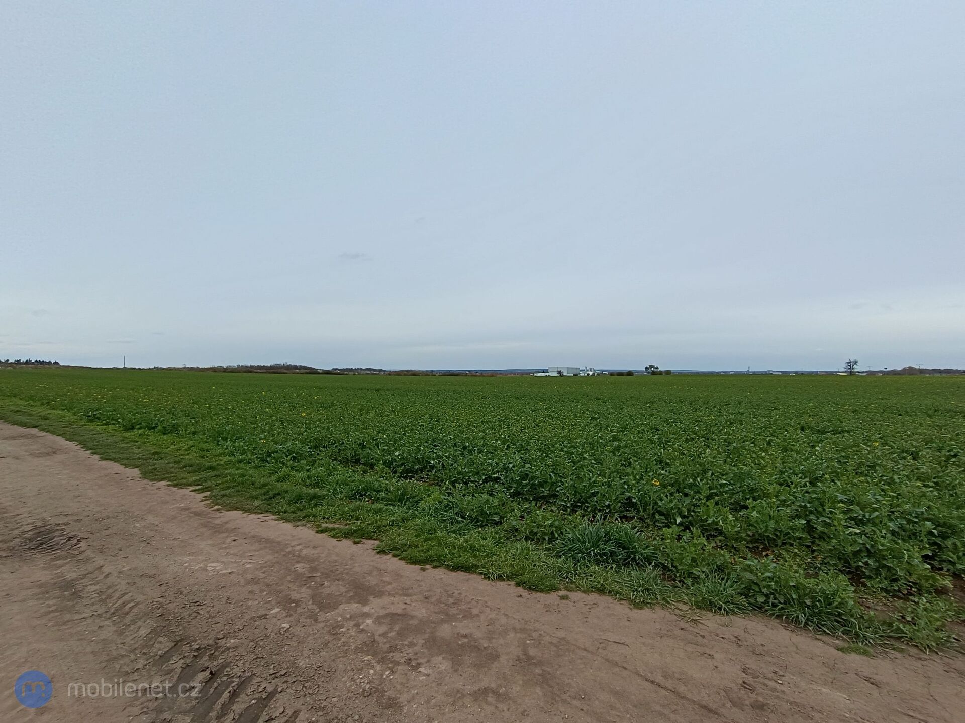 Xiaomi Redmi Note 12 Pro