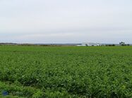 Xiaomi Redmi Note 12 Pro