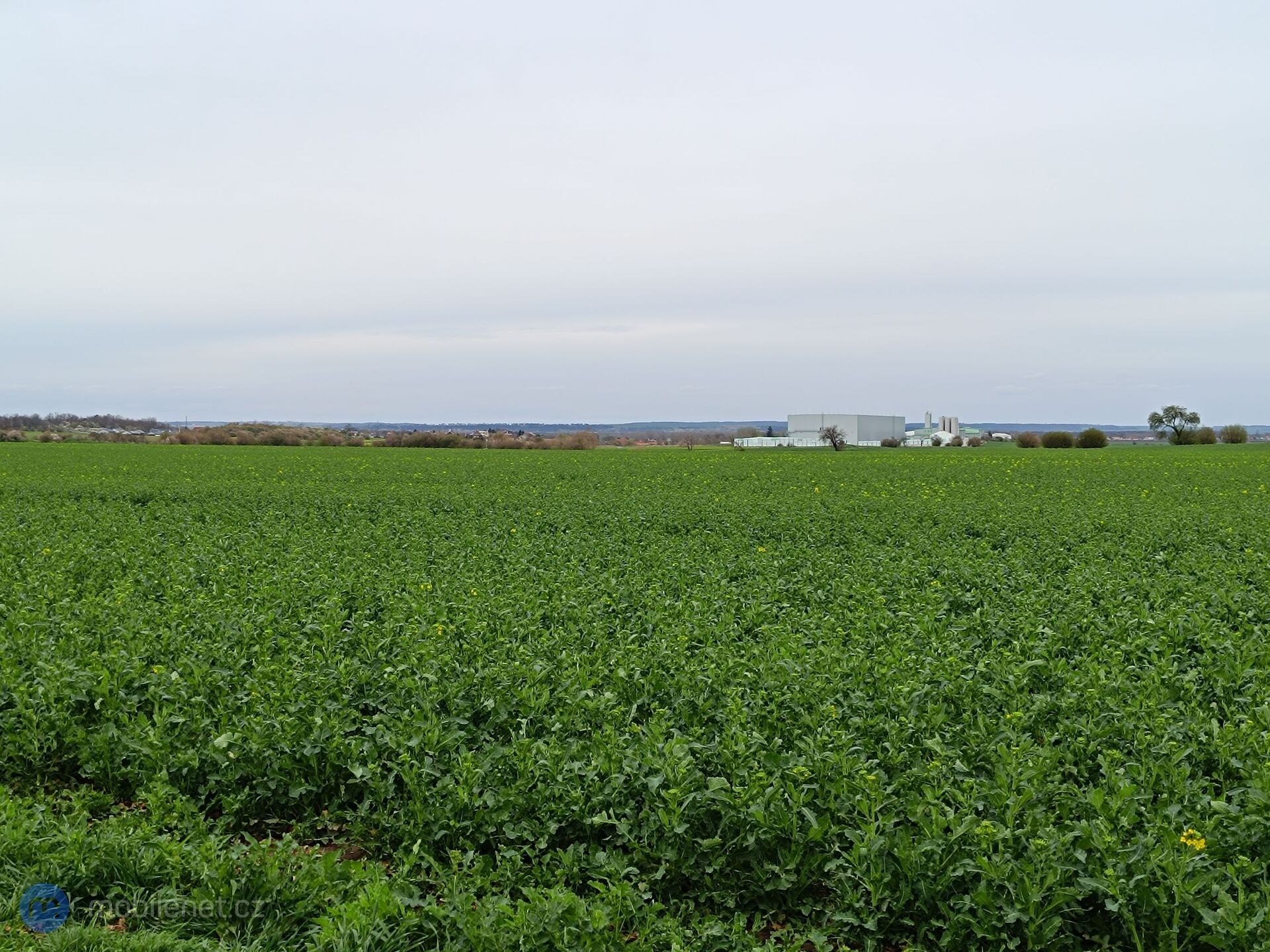 Xiaomi Redmi Note 12 Pro