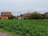 Xiaomi Redmi Note 12 Pro