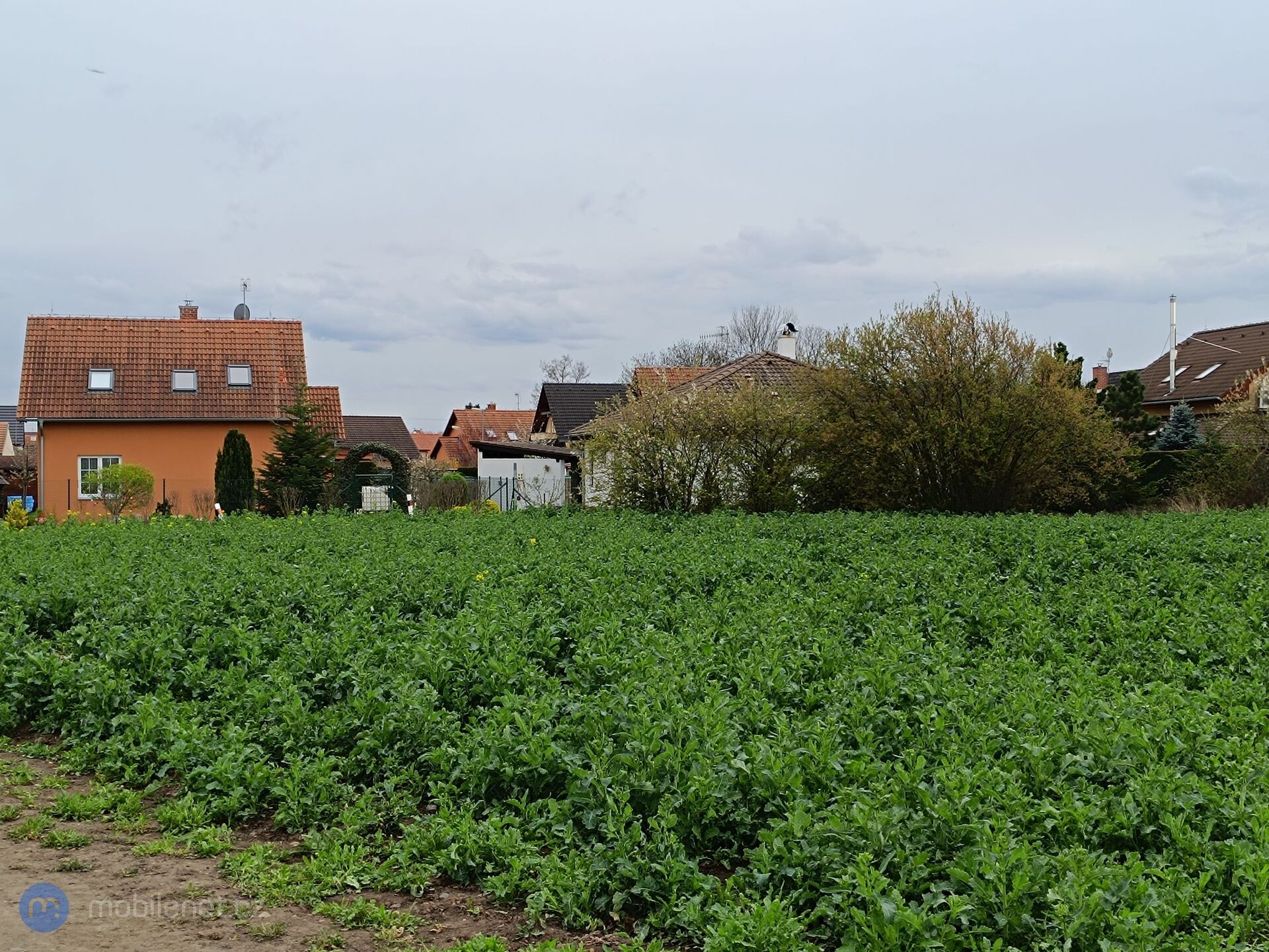 Xiaomi Redmi Note 12 Pro