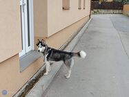 Xiaomi Redmi Note 12 Pro