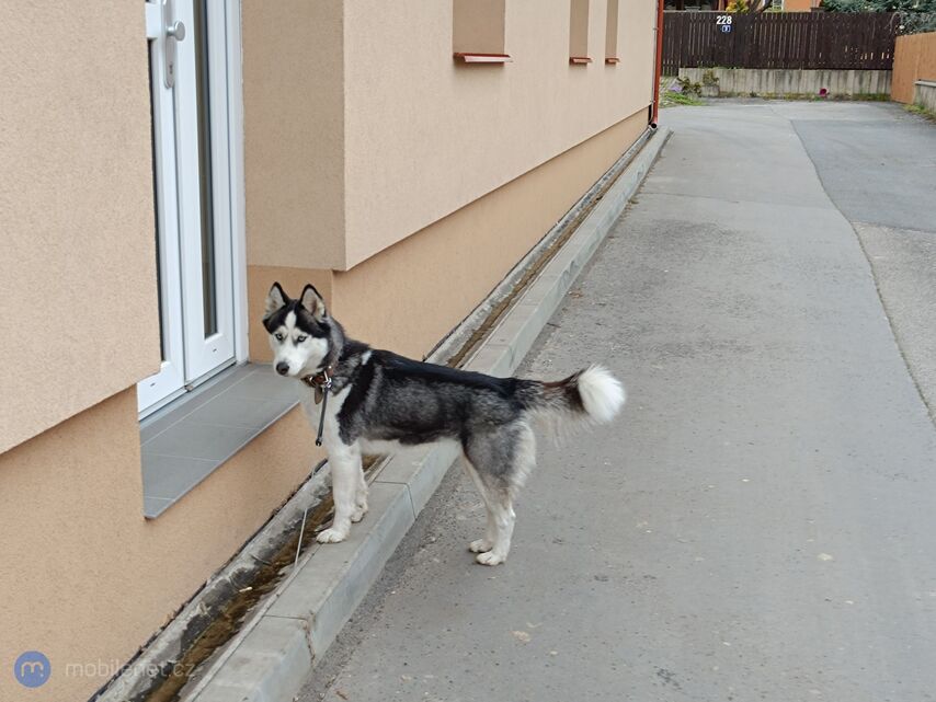 Xiaomi Redmi Note 12 Pro