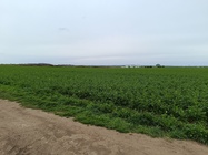 Xiaomi Redmi Note 12 Pro