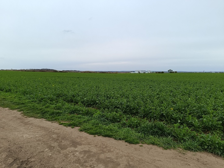 Xiaomi Redmi Note 12 Pro