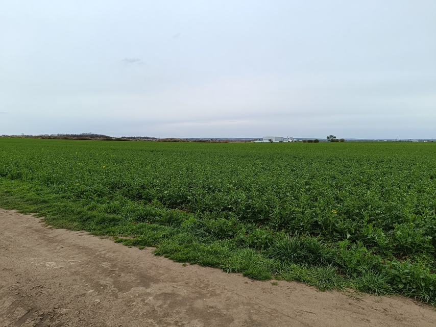 Xiaomi Redmi Note 12 Pro