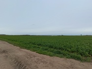 Xiaomi Redmi Note 12 Pro