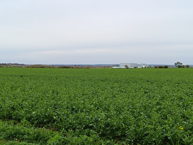 Xiaomi Redmi Note 12 Pro