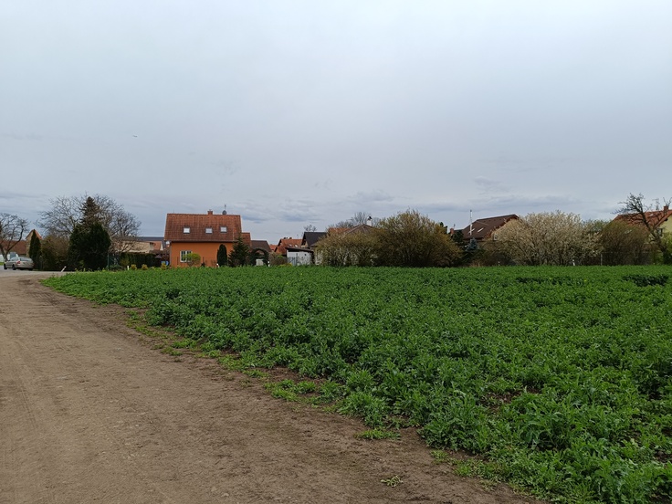 Xiaomi Redmi Note 12 Pro