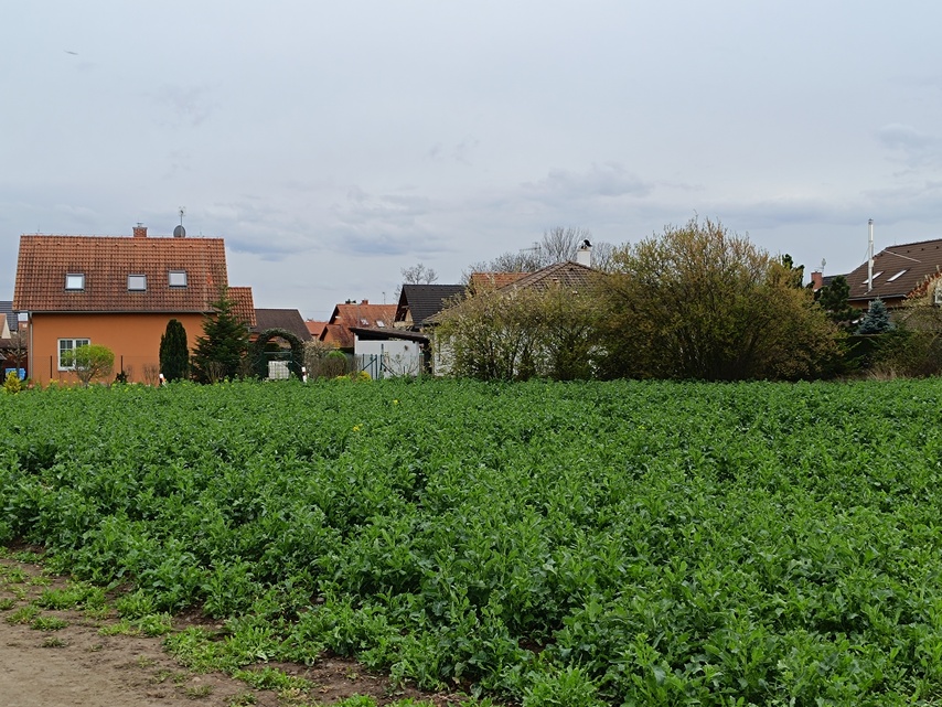 Xiaomi Redmi Note 12 Pro