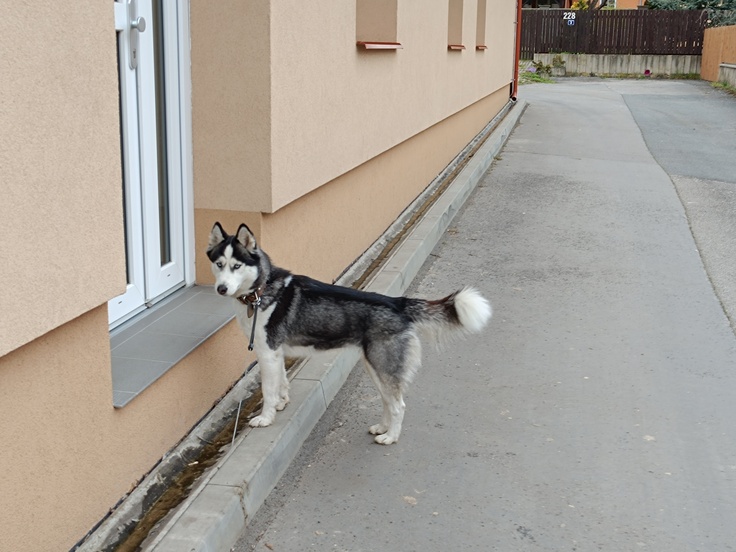 Xiaomi Redmi Note 12 Pro