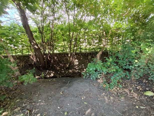 Xiaomi Redmi Note 12 Pro+