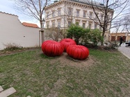 Xiaomi Redmi Note 12 Pro+