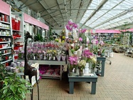 Xiaomi Redmi Note 12 Pro+