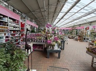 Xiaomi Redmi Note 12 Pro+