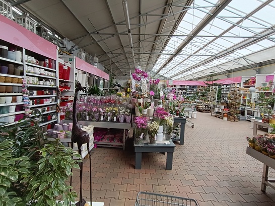 Xiaomi Redmi Note 12 Pro+