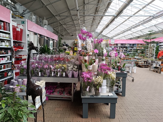 Xiaomi Redmi Note 12 Pro+