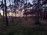 Xiaomi Redmi Note 12 Pro+