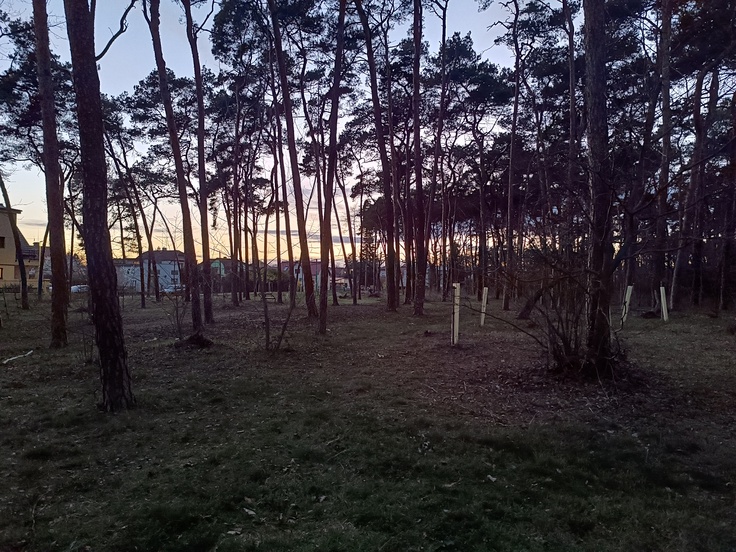 Xiaomi Redmi Note 12 Pro+