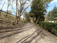 Xiaomi Redmi Note 12 Pro+