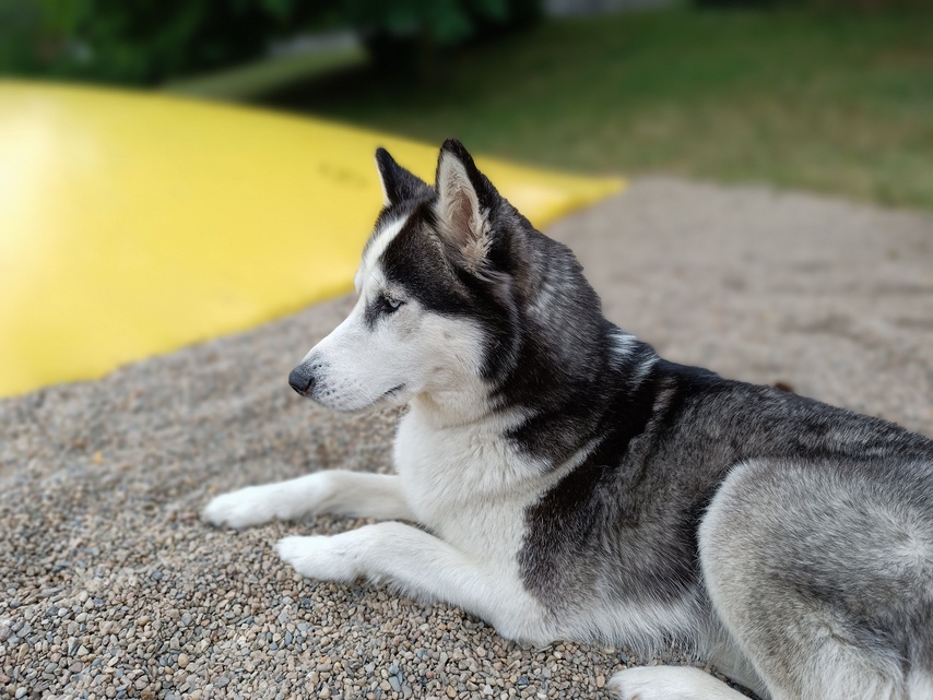 Xiaomi Redmi Note 12 Pro+