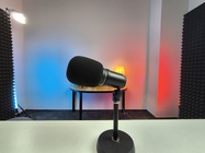 Xiaomi Redmi Note 13 Pro+