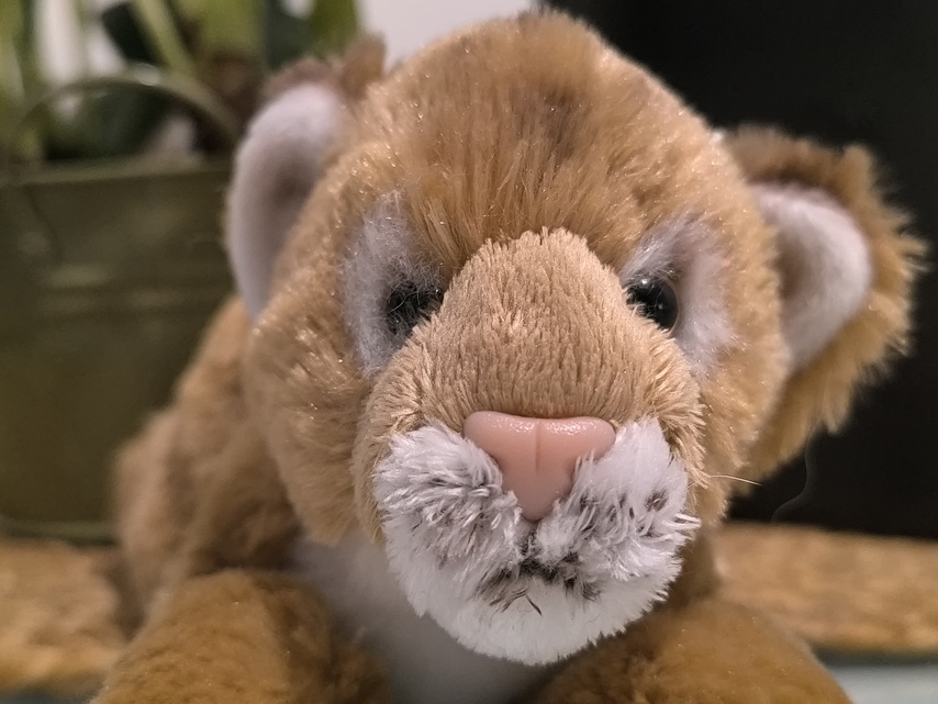 Xiaomi Redmi Note 13 Pro+