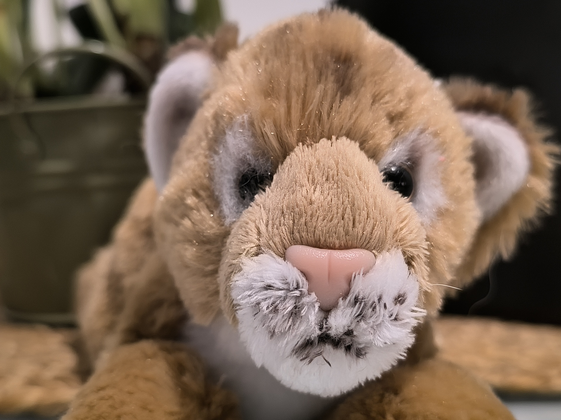 Xiaomi Redmi Note 13 Pro+