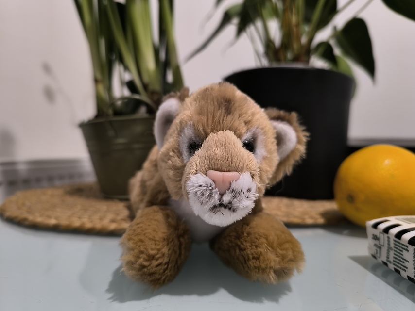 Xiaomi Redmi Note 13 Pro+