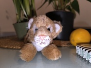 Xiaomi Redmi Note 13 Pro+