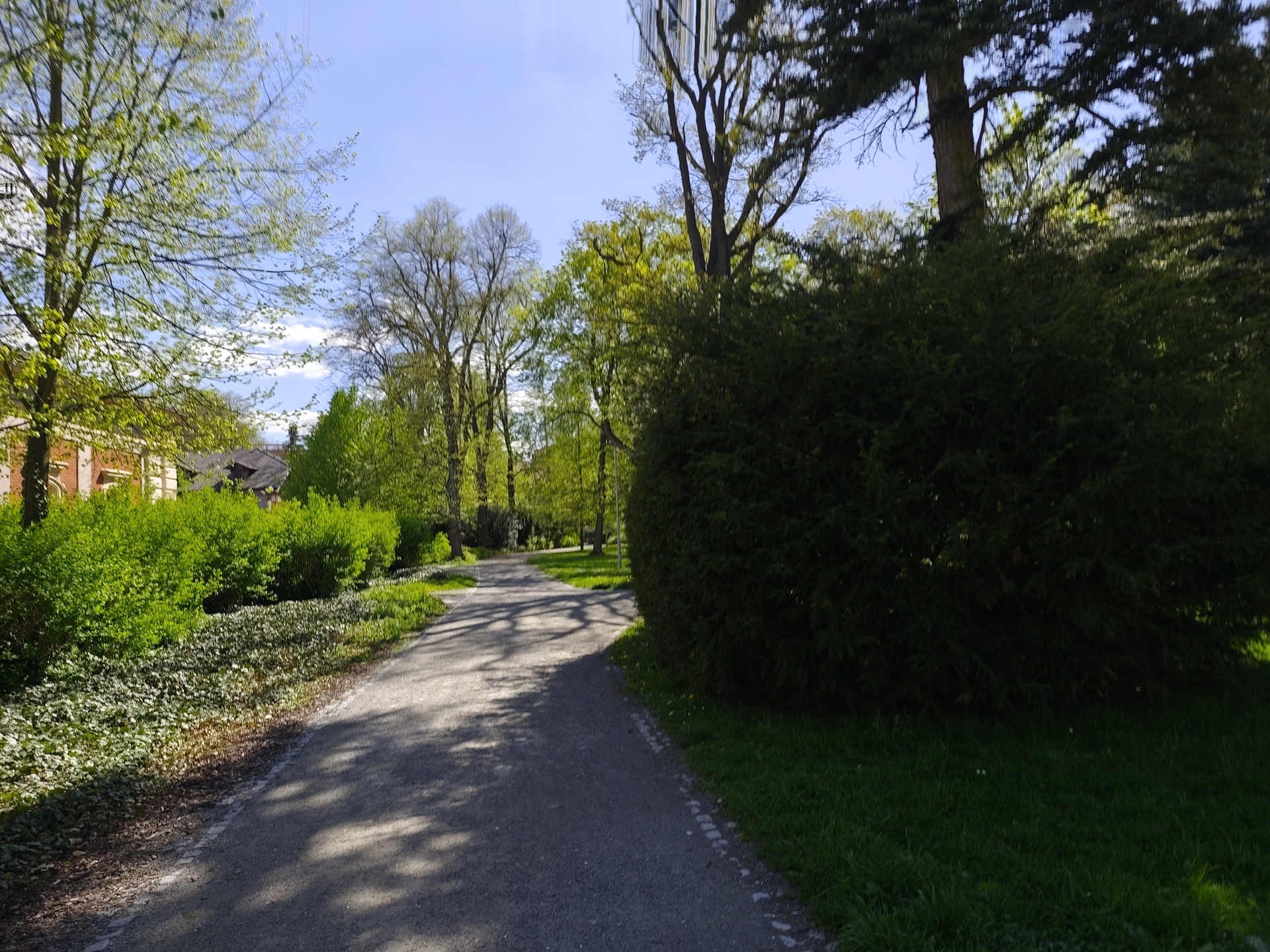 Xiaomi Redmi Note 14 Pro+ (Global)