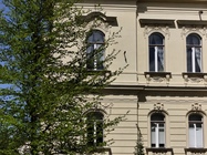 Xiaomi Redmi Note 14 Pro+ (Global)